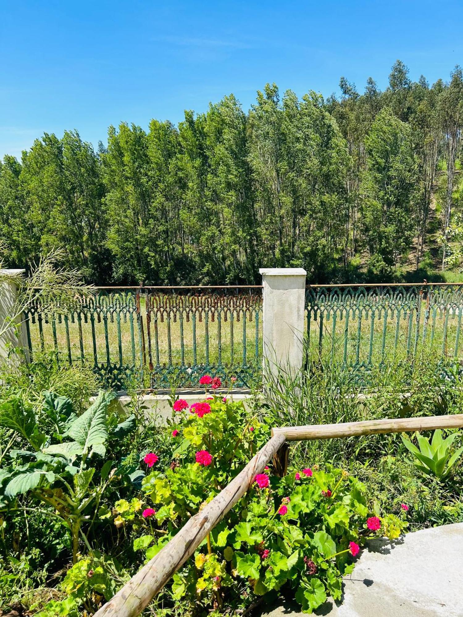 Mae Home Carril Caldas Da Rainha Εξωτερικό φωτογραφία